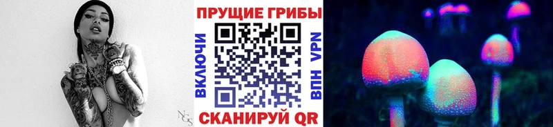 Галлюциногенные грибы Psilocybe  Заволжск 